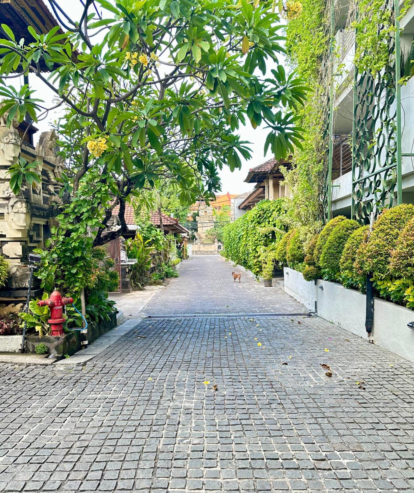 Hotel Ion Bali Benoa Nusa Dua  Zewnętrze zdjęcie